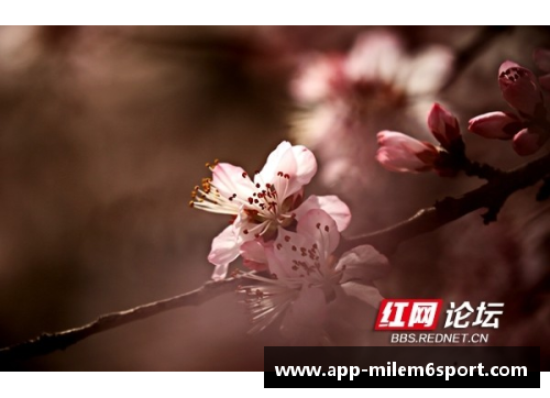 梅春：绽放山野，绕梦飞舞
